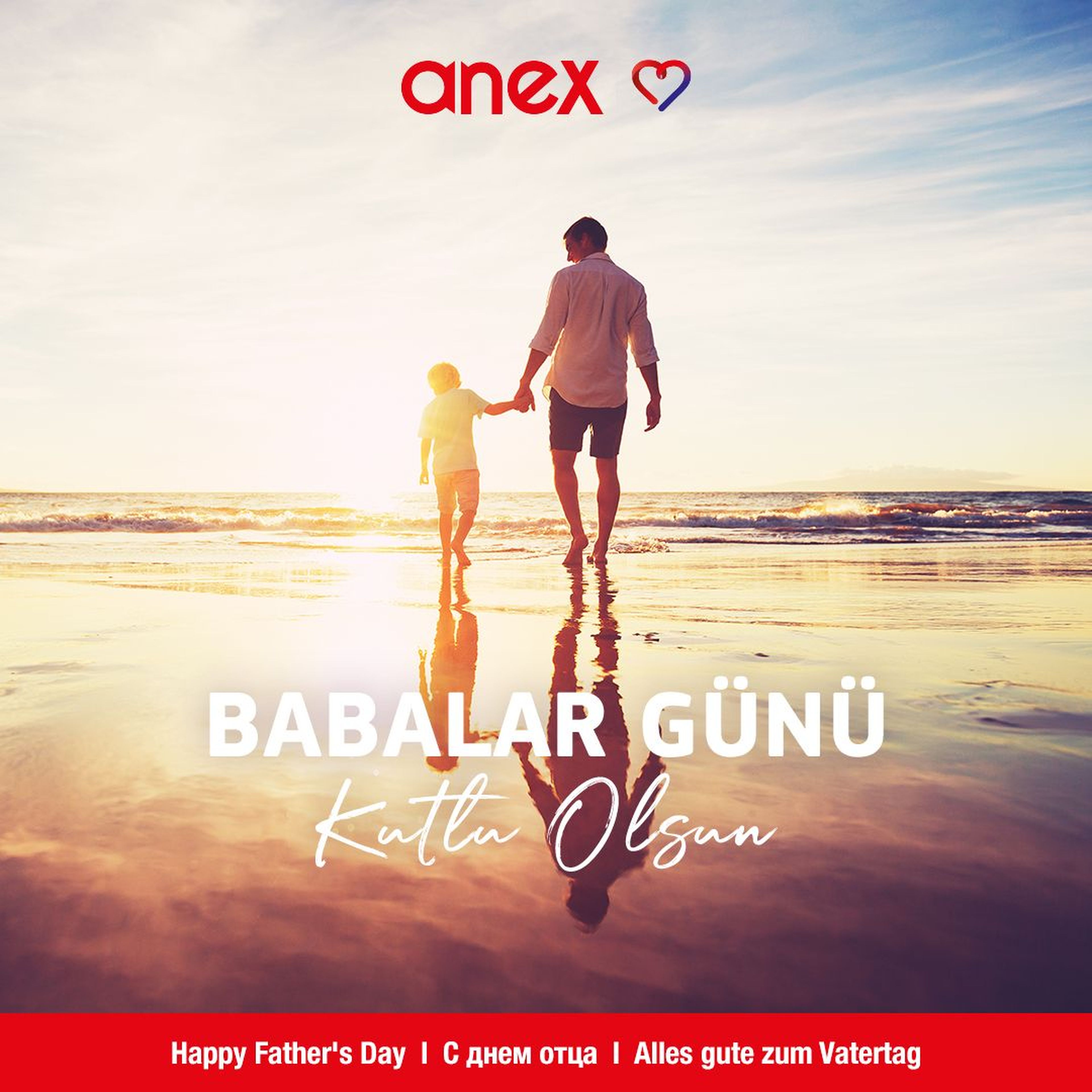 Công ty TNHH TM và DL ANEX Việt Nam - Hình 2
